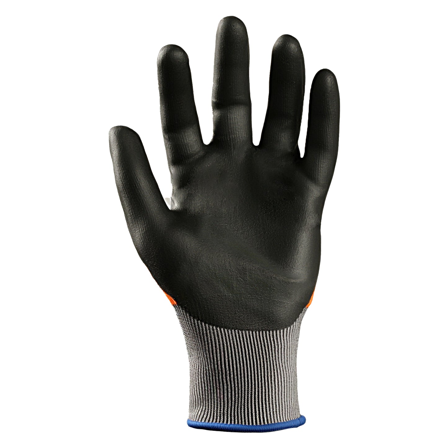 AR3543 Nitrile palm or inside view