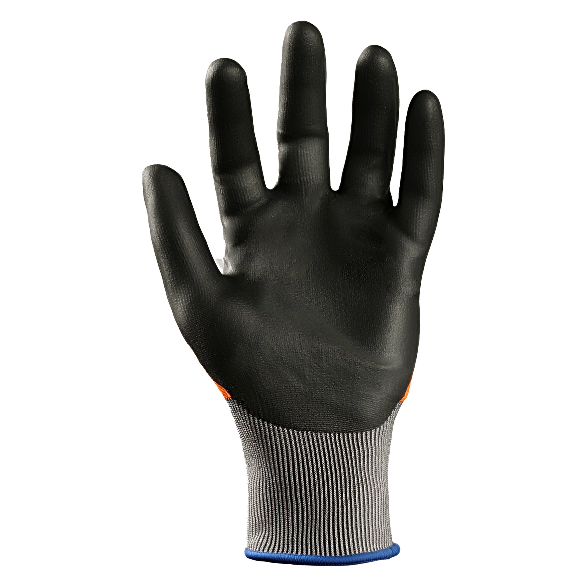 AR3543 Nitrile palm or inside view
